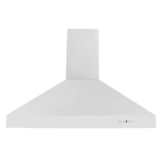 ZLINE 42" Ducted Wall Mount Range Hood in Outdoor Approved Stainless Steel (697-304-42)