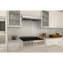 ZLINE Kitchen and Bath, ZLINE 617-30 Under Cabinet Range Hood in Stainless Steel, 617-30,