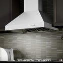 ZLINE 42 in. Professional Ducted Vent Wall Mount Range Hood in Stainless Steel (667-42)