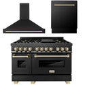 ZLINE Autograph Edition 48 in. Kitchen Package with Black Stainless Steel Dual Fuel Range, Range Hood and Dishwasher with Polished Gold Accents (3AKP-RABRHDWV48-G) 