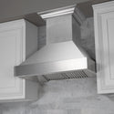 ZLINE 30" Designer Series Ducted Wall Mount Range Hood in Fingerprint Resistant Stainless Steel (8656S-30)