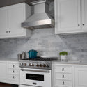 ZLINE 30" Designer Series Ducted Wall Mount Range Hood in Fingerprint Resistant Stainless Steel (8656S-30)