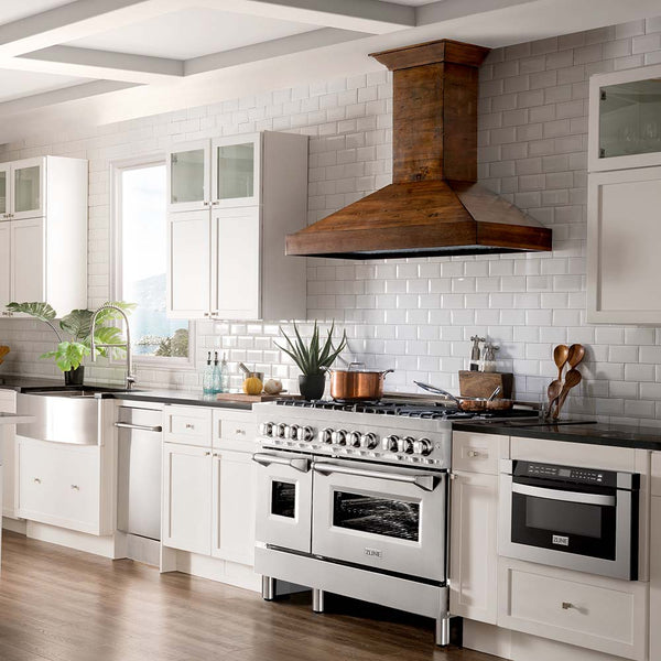 ZLINE 48 in. Professional Dual Fuel Range in Stainless Steel with Brass Burners (RA-BR-48)-Ranges-RA-BR-48 ZLINE Kitchen and Bath