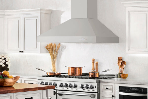 ZLINE 60" Ducted Wall Mount Range Hood in Outdoor Approved Stainless Steel (697-304-60)