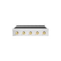 ZLINE Autograph Edition 36 in. Paramount Induction Rangetop with 5 Element Cooktop in Stainless Steel and Polished Gold Accents (SINRTZ-36-G)