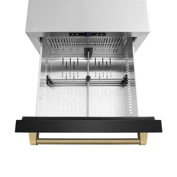ZLINE Autograph Edition 24 in. Touchstone 168 Can Outdoor-Rated Dual Refrigerator Drawer with Black Stainless Steel Doors and Champagne Bronze Helix Handles (RDSOZ-BS-24-KCB)