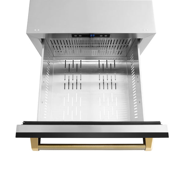 ZLINE Autograph Edition 24 in. Touchstone 168 Can Outdoor-Rated Dual Refrigerator Drawer with Black Stainless Steel Doors and Polished Gold Helix Handles (RDSOZ-BS-24-KG)