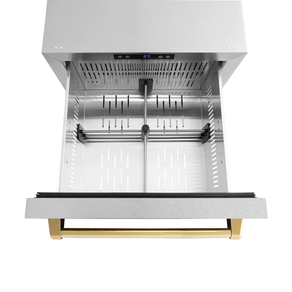 ZLINE Autograph Edition 24 in. Touchstone 168 Can Outdoor-Rated Dual Refrigerator Drawer with Satin Stainless Steel Doors and Polished Gold Handles (RDSOZ-SN-24-G)