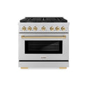 ZLINE Autograph Edition 36 in. 5.2 cu. ft. Paramount Dual Fuel Range with 6 Burner Gas Cooktop and Electric Convection Oven in Stainless Steel with Polished Gold Accents (SDRZ-36-G)