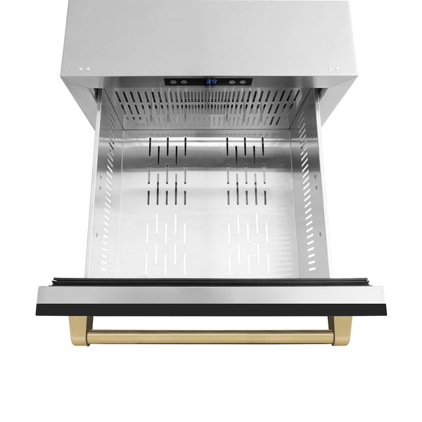 ZLINE Autograph Edition 24 in. Touchstone 168 Can Outdoor-Rated Dual Refrigerator Drawer with Black Matte Doors and Champagne Bronze Handles (RDSOZ-BLM-24-CB)