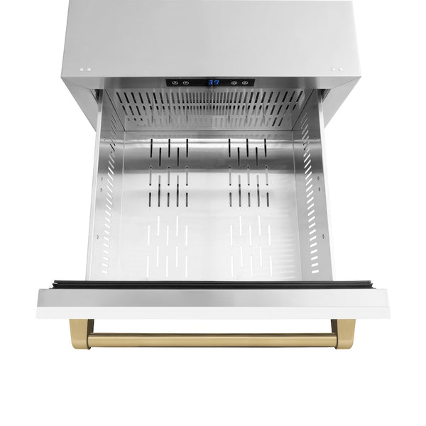 ZLINE Autograph Edition 24 in. Touchstone 168 Can Outdoor-Rated Dual Refrigerator Drawer with White Matte Doors and Champagne Bronze Handles (RDSOZ-WM-24-CB)