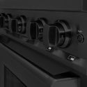 ZLINE 30 in. 4.2 cu. ft. Classic Gas Range with Convection Gas Oven in Black Stainless Steel with 4 Brass Burners (CGRB-BR-30)