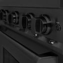 ZLINE 30 in. 4.2 cu. ft. Classic Dual Fuel Range with Gas Cooktop and Electric Convection Oven in Black Stainless Steel with 4 Brass Burners (CDRB-BR-30)