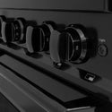 ZLINE 30 in. 4.2 cu. ft. Classic Gas Range with 4 Burner DuoPro™ Cooktop and Convection Gas Oven in Black Stainless Steel (PCGRB-30)