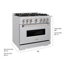 ZLINE 36 in. 5.2 cu. ft. Classic Dual Fuel Range with 6 Burner DuoPro™ Cooktop and Electric Convection Oven in Stainless Steel (PCDR36)