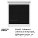 ZLINE Autograph Edition 24 in. 3.2 cu. ft. Paramount Induction Range with 3 Element Cooktop and Electric Convection Oven in Stainless Steel with Matte Black Accents (SINRZ-24-MB)