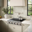 ZLINE 36 in. Paramount Induction Rangetop with 5 Element Cooktop in Stainless Steel (SINRT36)