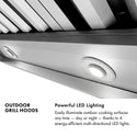 ZLINE 48 in. Island Mount Outdoor Grill Hood (GOi2-48)