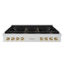 ZLINE 48 in. Autograph Edition Paramount Gas Rangetop with 8 Burners and Porcelain Cooktop in Stainless Steel with Polished Gold Accents (SRTZ-48-G)