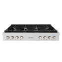 ZLINE 48 in. Paramount Gas Rangetop with 8 Brass Burners and Porcelain Cooktop in Stainless Steel (SRT-BR-48)