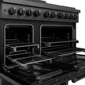 ZLINE 48 in. 6.7 cu. ft. Paramount Dual Fuel Range with 8 Burner DuoPro™ Cooktop and Dual Ovens in Black Stainless Steel (PSDRB-48)