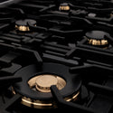 ZLINE Autograph Edition 48 in. 6.0 cu. ft. Legacy Dual Fuel Range with 7 Burner Gas Cooktop and 2 Electric Ovens in Black Stainless Steel and Champagne Bronze Accents (RABZ-48-CB)