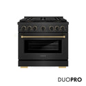 ZLINE Designer Collection 36 in. 5.2 cu. ft. Paramount Dual Fuel Range with 6 Burner DuoPro™ Cooktop and Electric Convection Oven in Black Satin Stainless Steel with Matte Black and Champagne Bronze Accents (PSDRBSZ-36-MBCB)