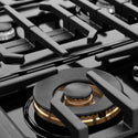 ZLINE 48 in. Paramount Gas Rangetop with 8 Burners and Porcelain Cooktop in Black Satin Stainless Steel (SRTBS-48)