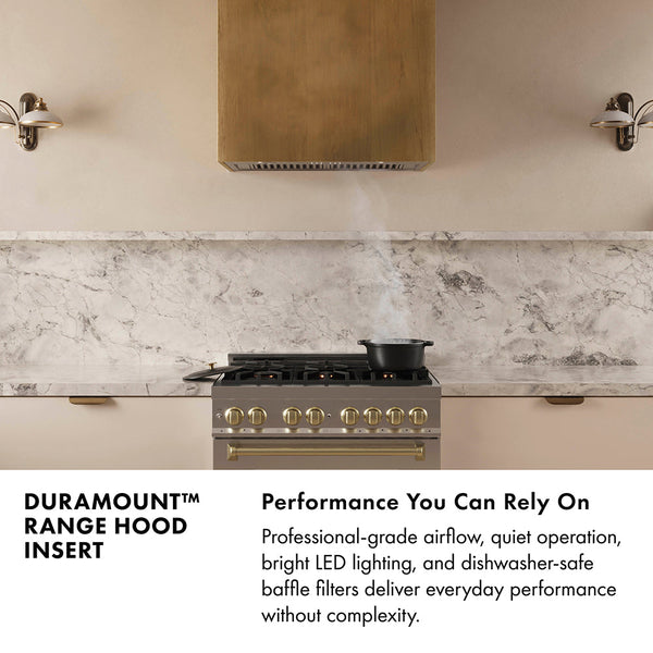 ZLINE 28 in. DuraMount™ Wall Mount Range Hood Insert in Stainless Steel (683-28)