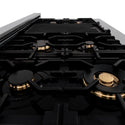 ZLINE 48 in. Legacy Gas Rangetop with 6 Brass Burners and Porcelain Cooktop in Satin Stainless Steel (RTS-BR-48)