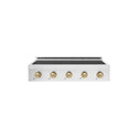 ZLINE Autograph Edition 36 in. Paramount Induction Rangetop with 5 Element Cooktop in Satin Stainless Steel and Champagne Bronze Accents (SINRTSZ-36-CB)