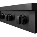 ZLINE 36 in. Paramount Induction Rangetop with 5 Element Cooktop in Black Stainless Steel (SINRTB-36)