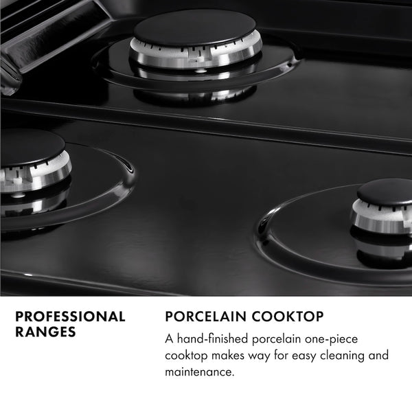 ZLINE 30 in. 4.2 cu. ft. Paramount Gas Range with 4 Burner Cooktop and Convection Gas Oven in Stainless Steel (SGR30)