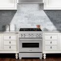ZLINE 30 in. 4.0 cu. ft. Legacy Dual Fuel Range with Gas Cooktop and Electric Convection Oven in Satin Stainless Steel with 4 Brass Burners (RAS-SN-BR-30)