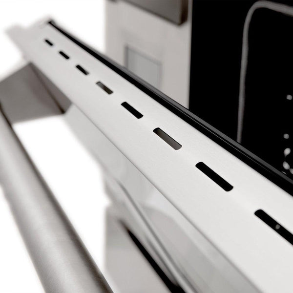 ZLINE 48 in. Professional Dual Fuel Range in Stainless Steel with Brass Burners (RA-BR-48) oven door close-up.