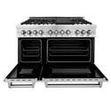 ZLINE 48 in. Professional Dual Fuel Range in Stainless Steel with Brass Burners (RA-BR-48) front, oven open.