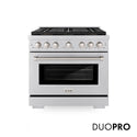 ZLINE 36 in. 5.2 cu. ft. Paramount Dual Fuel Range with 6 Burner DuoPro™ Cooktop and Electric Convection Oven in Stainless Steel (PSDR36)