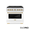 ZLINE Autograph Edition 36 in. 5.2 cu. ft. Paramount Dual Fuel Range with 6 Burner DuoPro™ Cooktop and Electric Convection Oven with White Matte Door and Polished Gold Accents (PSDRZ-WM-36-G)