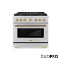 ZLINE Autograph Edition 36 in. 5.2 cu. ft. Paramount Dual Fuel Range with 6 Burner DuoPro™ Cooktop and Electric Convection Oven in Stainless Steel with Polished Gold Helix Handle and Accents (PSDRZ-36-KG)