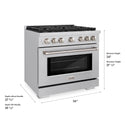 ZLINE 36 in. 5.2 cu. ft. Paramount Gas Range with Convection Gas Oven in Stainless Steel with 6 Brass Burners (SGR-BR-36)