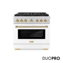 ZLINE Autograph Edition 36 in. 5.2 cu. ft. Paramount Gas Range with 6 Burner DuoPro™ Cooktop and Convection Gas Oven with White Matte Door and Polished Gold Accents (PSGRZ-WM-36-G)