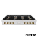 ZLINE Autograph Edition 48 in. Paramount Gas Rangetop with 8 Burner DuoPro™ Cooktop in Stainless Steel and Polished Gold Accents (PSRTZ-48-G)