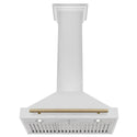 ZLINE Autograph Edition Convertible Stainless Steel Range Hood with Stainless Steel Shell and Champagne Bronze Accents (KB4STZ-CB) front, under.