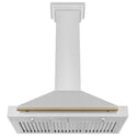 ZLINE Autograph Edition Convertible Stainless Steel Range Hood with Stainless Steel Shell and Champagne Bronze Accents (KB4STZ-CB) front, under.