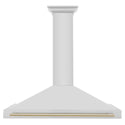 ZLINE 48 in. Autograph Edition Convertible Stainless Steel Range Hood with Stainless Steel Shell and Polished Gold Accents (KB4STZ-48-G)