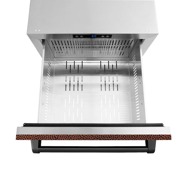 ZLINE 24 in. Touchstone 168 Can Outdoor-Rated Dual Refrigerator Drawer with Hand Hammered Copper Doors (RDSO-HH-24)