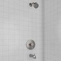 ZLINE Palisades Elegant Shower System in Brushed Nickel (RBCN1-SHS-BN)