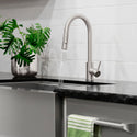 ZLINE Rubicon Pull Down Single Handle Kitchen Faucet in Brushed Nickel (RBCN1-KF-BN)