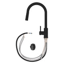 ZLINE Rubicon Pull Down Single Handle Kitchen Faucet in Matte Black (RBCN1-KF-MB)