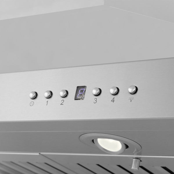 LED lighting on ZLINE range hood.